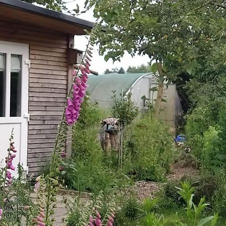 Fairschlafen - Gartenwohnung Bücken Exteriör bild